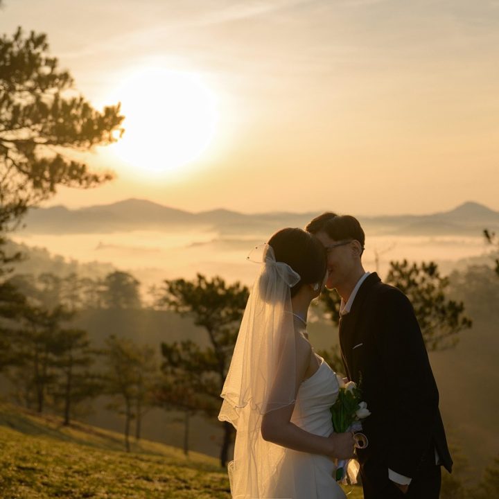 newlyweds-8861316_1280.jpg